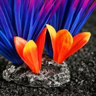 Растение для аквариума и террариума, 18×10×11.5 см, красно-фиолетовый - Фото 5