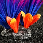 Растение искусственное аквариумное, 18 х 10 х 11,5 см, красно-фиолетовый - фото 809633969