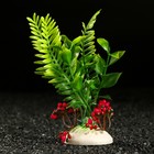 Растение искусственное аквариумное, 18 х 9 х 14 см, красное - фото 8975274