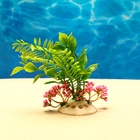 Растение искусственное аквариумное, 18 х 9 х 14 см, красное - Фото 2