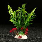 Растение искусственное аквариумное, 18 х 9 х 14 см, красное - фото 318792140