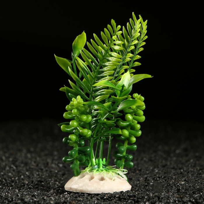 Растение искусственное аквариумное, 18 х 9 х 14 см, зелёное - Фото 1