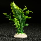 Растение искусственное аквариумное, 18 х 9 х 14 см, зелёное - фото 39057659