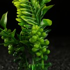 Растение искусственное аквариумное, 18 х 9 х 14 см, зелёное - Фото 3
