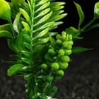 Растение искусственное аквариумное, 18 х 9 х 14 см, зелёное - фото 39057661
