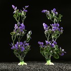 Набор растений искусственных для аквариума (2 шт), 25 см, фиолетовый - Фото 1