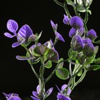 Набор растений искусственных для аквариума (2 шт), 25 см, фиолетовый - Фото 2