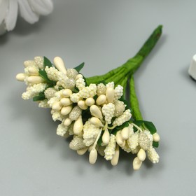 Цветы для декорирования "Соцветие" сливочный 1 букет=12 цветов 8,5 см