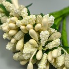 Цветы для декорирования "Соцветие" сливочный 1 букет=12 цветов 8,5 см (комплект 12 шт) - фото 21501859