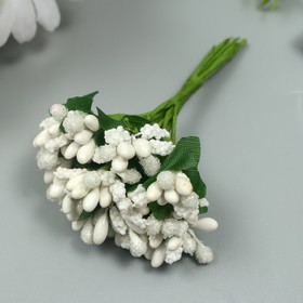 Цветы для декорирования "Соцветие" белоснежный 1 букет=12 цветов 8,5 см