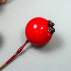 Декор для творчества «Ягодка - боярышник», красный, 7?1 см (комплект 40 шт) - фото 33109113