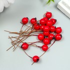 Декор для творчества «Ягодка - боярышник», красный, 7?1 см (комплект 40 шт) - фото 33109114