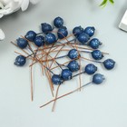 Декор для творчества "Ягодка - голубика" синий 7х1 см (комплект 20 шт) - фото 25319224