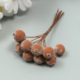 Декор для творчества "Ягодка рябины" 1 букет=10 ягод коричневый иней 10х1,5 см