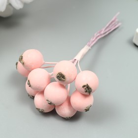 Декор для творчества "Ягодка рябины" 1 букет=10 ягод розовый иней 10х1,5 см
