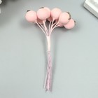 Декор для творчества "Ягодка рябины" 1 букет=10 ягод розовый иней 10х1,5 см - Фото 3