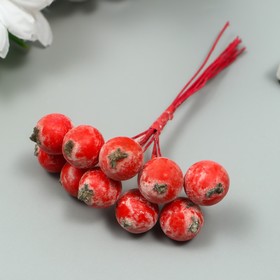 Декор для творчества "Ягодка рябины" 1 букет=10 ягод красно-бордовый иней 10х1,5 см