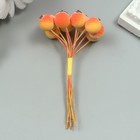 Декор для творчества "Ягодка рябины" 1 букет=10 ягод оранжево-жёлтый 10х1,5 см - Фото 3
