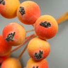 Декор для творчества "Ягодка рябины" 1 букет=10 ягод оранжево-жёлтый 10х1,5 см - Фото 4