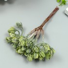 Искусственное растение для творчества "Ягодки" 1 букет=6 веточек зелёный 14 см - Фото 1