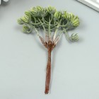 Искусственное растение для творчества "Ягодки" 1 букет=6 веточек зелёный 14 см - Фото 3