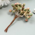 Декор для творчества "Ягодки" 1 букет= 6 веточек сиренево-зелёный 10 см (комплект 10 шт) - фото 25269906