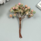 Декор для творчества "Ягодки" 1 букет= 6 веточек сиренево-зелёный 10 см (комплект 10 шт) - фото 25269907