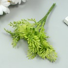 Искусственное растение для творчества "Туя" 1 букет=6 веточек зелёный 13 см - фото 318792244