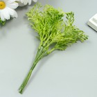 Искусственное растение для творчества "Туя" 1 букет=6 веточек зелёный 13 см 7445294