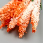 Декор для творчества "Иван чай" 1 букет=10 цветков оранжевый 1,5х14 см (комплект 10 шт) - фото 27135020