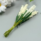 Декор для творчества "Иван чай" 1 букет=10 цветков кремовый 1,5х14 см (комплект 10 шт) - фото 25349655