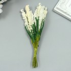 Декор для творчества "Иван чай" 1 букет=10 цветков кремовый 1,5х14 см (комплект 10 шт) - фото 25349656