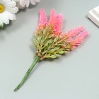 Искусственное растение для творчества "Лаванда" 1 букет=6 веточек розовый 14 см - Фото 2