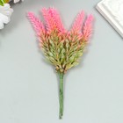 Искусственное растение для творчества "Лаванда" 1 букет=6 веточек розовый 14 см - Фото 3