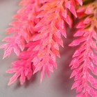 Искусственное растение для творчества "Лаванда" 1 букет=6 веточек розовый 14 см - Фото 4