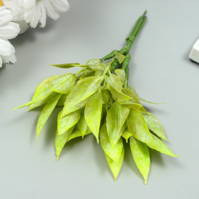 Искусственное растение для творчества Рукус 1 букет=6 веточек зелёный 13 см