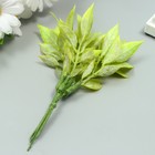 Искусственное растение для творчества "Рукус" 1 букет=6 веточек зелёный 13 см (комплект 10 шт) - фото 21501929