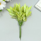 Искусственное растение для творчества "Рукус" 1 букет=6 веточек зелёный 13 см (комплект 10 шт) - фото 21501930