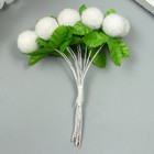 Тычинки для цветов "Шарик мохнатый белый" d=1,5-2 см 1 букет=10 шт 10 см (комплект 10 шт) - фото 22894151