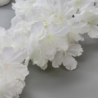 Цветы искусственные "Фиалка Мария" 85 см d-6,5 см, белый - Фото 2