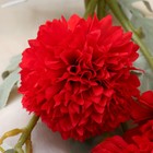 Цветы искусственные "Астра китайская Балун" 77 см, красный  (артикул 7503340)  большой выбор товаров оптом и в розницу по низким ценам с доставкой