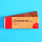 Шоколад молочный «Душнила», 20 г. - фото 109593570