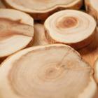 Подставка под горячее «Классика», D=15 см, можжевельник - Фото 3