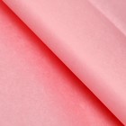 Бумага тишью, палитра №1, «МИКС», 50×66 см - Фото 4