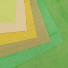 Бумага тишью, палитра №3, «МИКС», 50×66 см - Фото 2