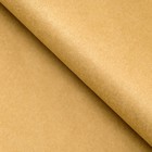 Бумага тишью, палитра №3, «МИКС», 50×66 см - Фото 4