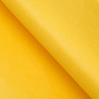 Бумага тишью, палитра №3, «МИКС», 50×66 см - Фото 5