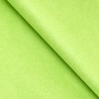 Бумага тишью, палитра №3, «МИКС», 50×66 см - Фото 7