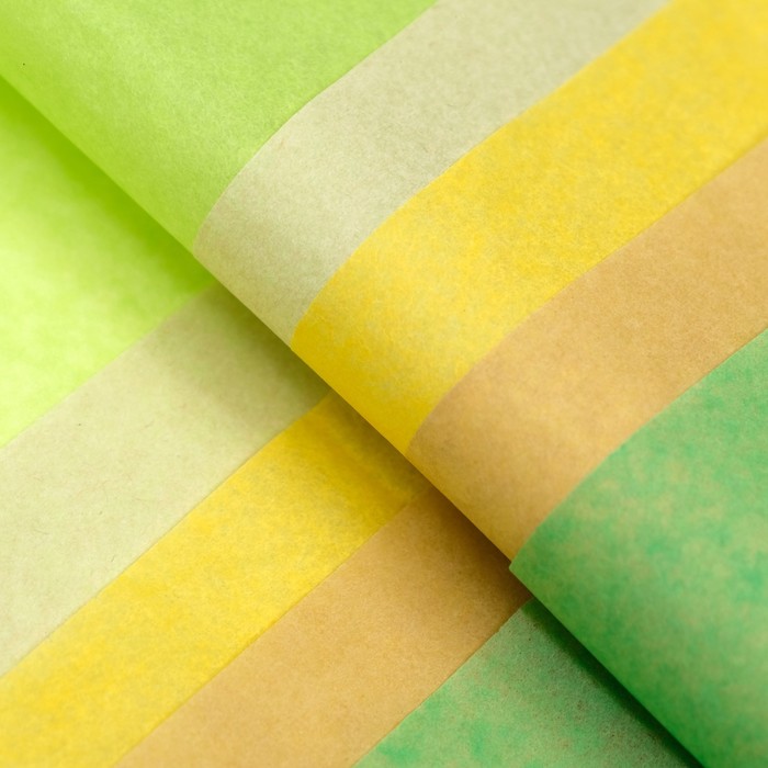 Бумага тишью, палитра №3, «МИКС», 50×66 см - Фото 1