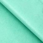 Бумага тишью, палитра №4, «МИКС», 50×66 см - Фото 5